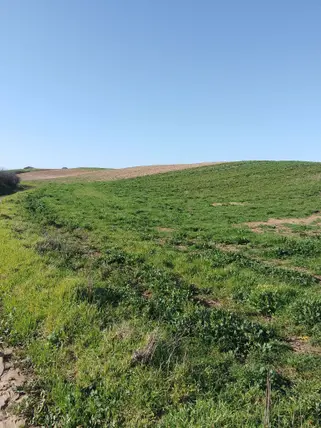 Tekirdağ Ergene Velimeşe Osb Mahallesi 427 m² satılık sanayi arsa - Fotoğraf 3