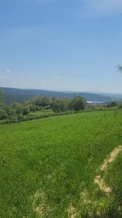 Uşak Merkez Karacahisar Köyü Mahallesi 6.030 m² satılık konut arsa - Fotoğraf 2