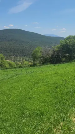 Uşak Merkez Karacahisar Köyü Mahallesi 6.030 m² satılık konut arsa - Fotoğraf 3