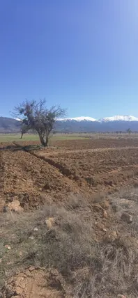 Denizli Tavas Bahçeköy Mahallesi 1.227 m² satılık tarla arsa - Fotoğraf 3