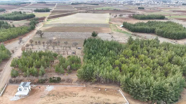 Denizli Acıpayam Akalan Mahallesi 13.500 m² satılık tarla arsa - Fotoğraf 2