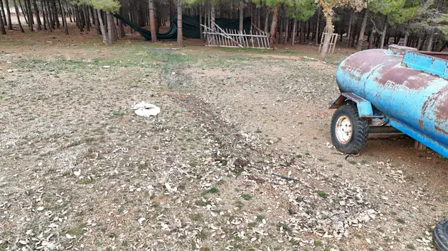 Denizli Acıpayam Akalan Mahallesi 13.500 m² satılık tarla arsa - Fotoğraf 3