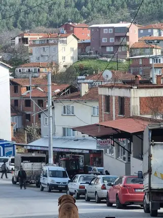 Bursa Büyükorhan Hocahasan Mahallesi 135 m² satılık muhtelif Arsa arsa - Fotoğraf 3