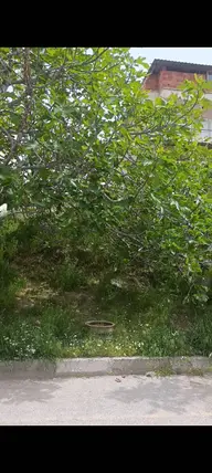 Denizli Merkezefendi Gümüşçay Mahallesi 235 m² satılık konut arsa - Fotoğraf 3