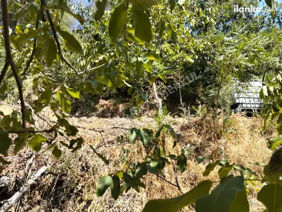 Kahramanmaraş Onikişubat Suçatı Mahallesi 534 m² satılık tarla arsa - Fotoğraf 2