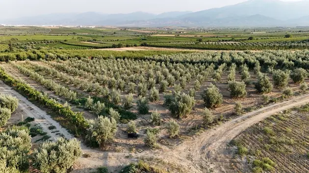 Manisa Salihli Akören Mahallesi 6.150 m² satılık tarla arsa - Fotoğraf 2