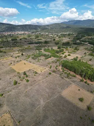 Denizli Tavas Nikfer Mahallesi 2.232 m² satılık bağ & Bahçe arsa - Fotoğraf 3