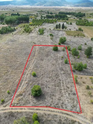 Denizli Tavas Nikfer Mahallesi 2.232 m² satılık bağ & Bahçe arsa - Fotoğraf 2