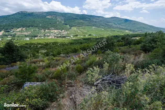İzmir Kemalpaşa Kamberler Mahallesi 5.978 m² satılık bağ & Bahçe arsa - Fotoğraf 2