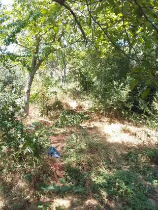 Sakarya Geyve Hisarlık Mahallesi 80 m² satılık bağ & Bahçe arsa - Fotoğraf 2
