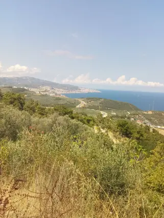 Bursa Mudanya Altıntaş Mahallesi 3.998 m² satılık bağ & Bahçe arsa - Fotoğraf 2