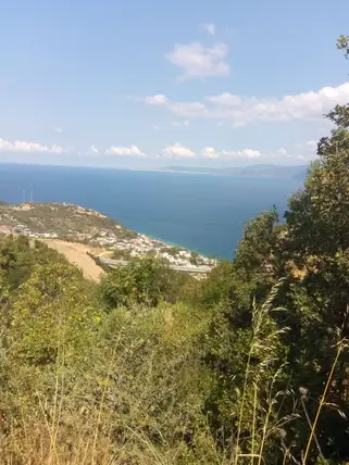 Bursa Mudanya Altıntaş Mahallesi 3.998 m² satılık bağ & Bahçe arsa - Fotoğraf 3