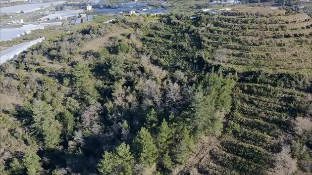 Antalya Gazipaşa Ekmel Mahallesi 180 m² satılık konut arsa - Fotoğraf 2