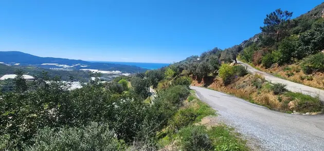 Antalya Alanya Hocalar Mahallesi 687 m² satılık villa arsa - Fotoğraf 3