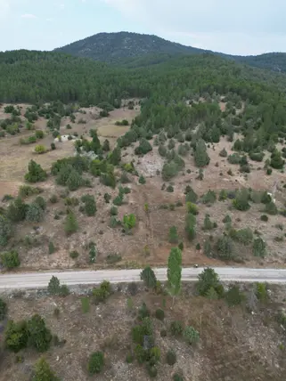 Denizli Kale Karayayla Mahallesi 6.768 m² satılık tarla arsa - Fotoğraf 2