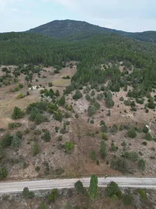 Denizli Kale Karayayla Mahallesi 6.768 m² satılık tarla arsa - Fotoğraf 3