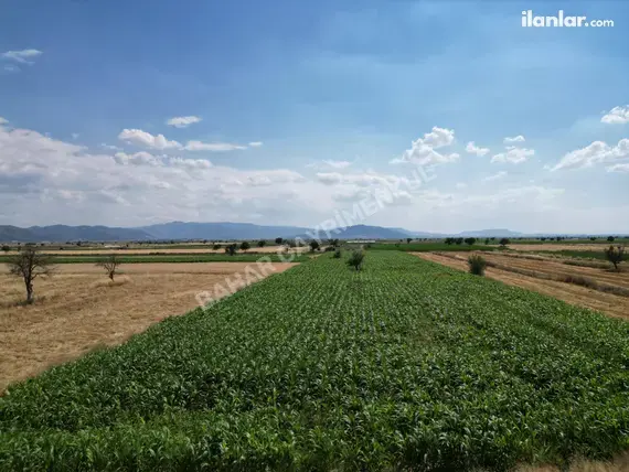 Denizli Tavas Orta Mahallesi 8.961 m² satılık tarla arsa - Fotoğraf 3