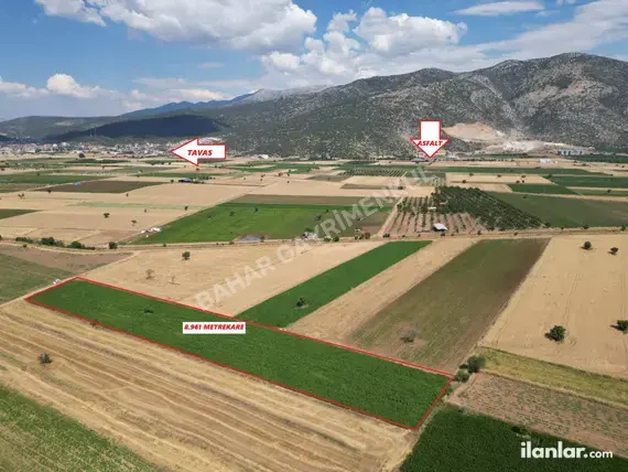 Denizli Tavas Orta Mahallesi 8.961 m² satılık tarla arsa - Fotoğraf 2