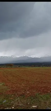 Denizli Tavas Çağırgan Mahallesi 2.800 m² satılık tarla arsa - Fotoğraf 2