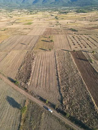 Denizli Tavas Yorga Mahallesi 4.342 m² satılık tarla arsa - Fotoğraf 3