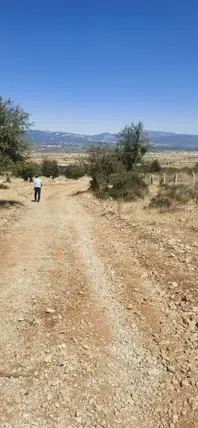 Denizli Serinhisar Şair Eşref Mahallesi 2.500 m² satılık bağ & Bahçe arsa - Fotoğraf 2