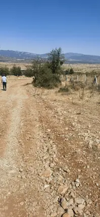 Denizli Serinhisar Şair Eşref Mahallesi 2.500 m² satılık bağ & Bahçe arsa - Fotoğraf 3