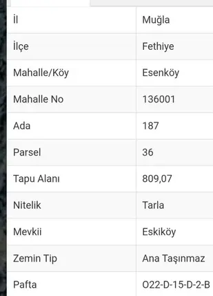 Muğla Fethiye Esenköy Mahallesi 809 m² satılık tarla arsa - Fotoğraf 2