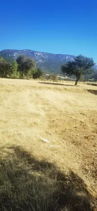 Denizli Acıpayam Karaismailler Mahallesi 551 m² satılık tarla arsa - Fotoğraf 2