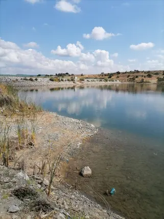 Kütahya Tavşanlı Karacakaş Köyü Mahallesi 2.715 m² satılık tarla arsa - Fotoğraf 2