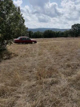 Kütahya Tavşanlı Karacakaş Köyü Mahallesi 2.715 m² satılık tarla arsa - Fotoğraf 3