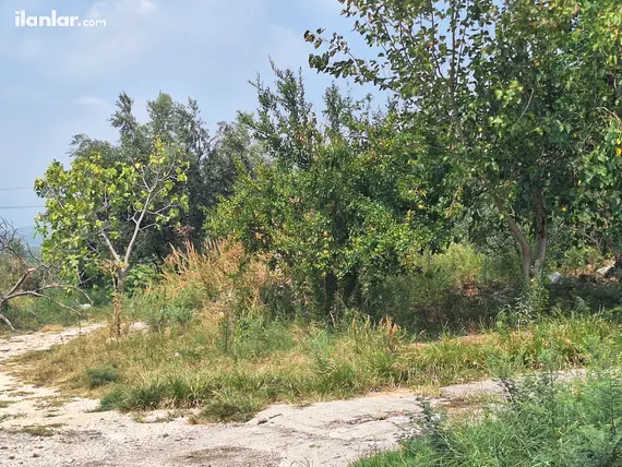 Adana Karaisalı Aktaş Mahallesi 102 m² satılık konut arsa - Fotoğraf 3