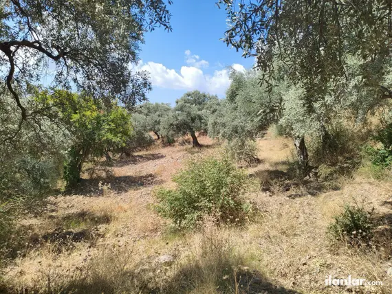 İzmir Torbalı Karaot Mahallesi 909 m² satılık tarla arsa - Fotoğraf 2