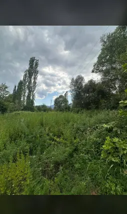 Kahramanmaraş Türkoğlu Avşarlı Mahallesi 1.765 m² satılık bağ & Bahçe arsa - Fotoğraf 2