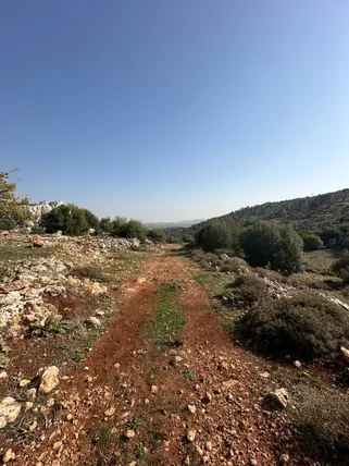 Hatay Altınözü Yunushanı Mahallesi 2.988 m² satılık muhtelif Arsa arsa - Fotoğraf 2