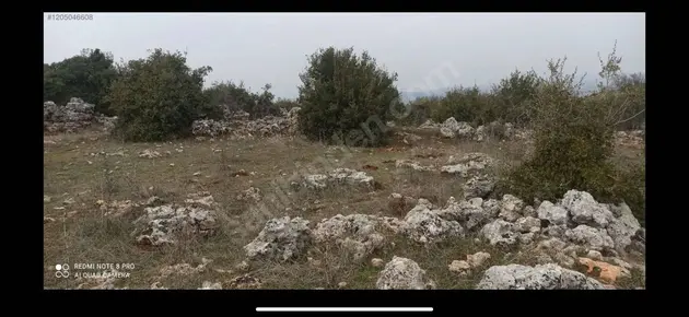 Hatay Altınözü Yunushanı Mahallesi 2.988 m² satılık muhtelif Arsa arsa - Fotoğraf 3