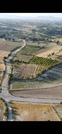 Denizli Güney Çamrak Mahallesi 16.800 m² satılık bağ & Bahçe arsa - Fotoğraf 2