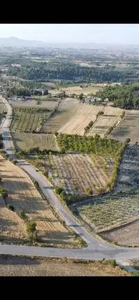 Denizli Güney Çamrak Mahallesi 16.800 m² satılık bağ & Bahçe arsa - Fotoğraf 3