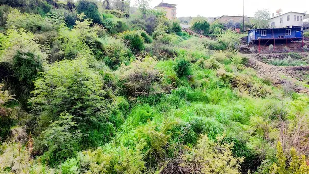 Antalya Alanya Şıhlar Mahallesi 586 m² satılık villa arsa - Fotoğraf 3