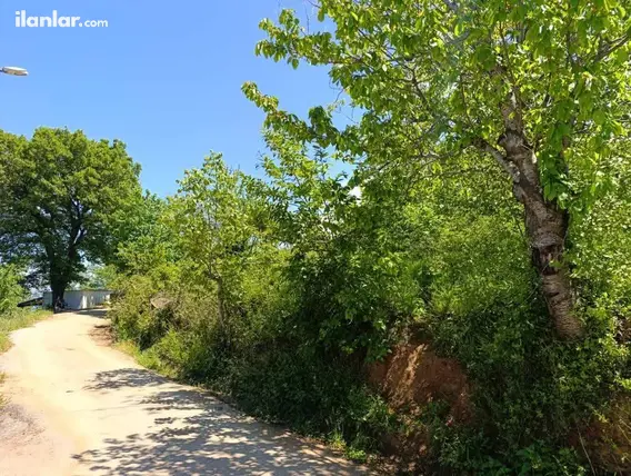 Bursa Karacabey Kurşunlu Mahallesi 2.624 m² satılık tarla arsa - Fotoğraf 2