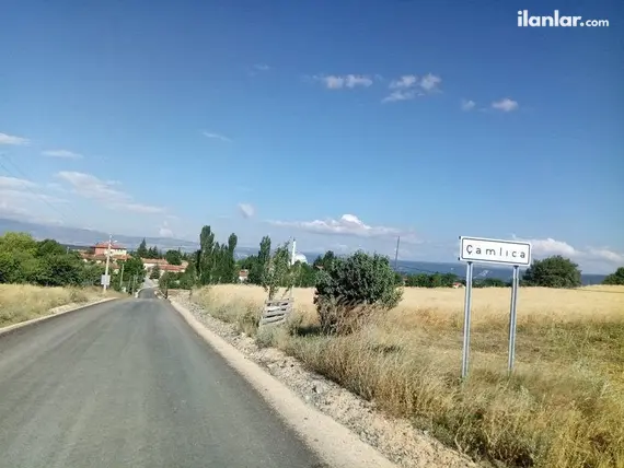 Kütahya Domaniç Çamlıca Köyü Mahallesi 2.966 m² satılık tarla arsa - Fotoğraf 2