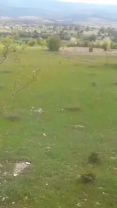 Kütahya Domaniç Çamlıca Köyü Mahallesi 2.966 m² satılık tarla arsa - Fotoğraf 3