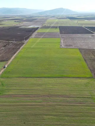 Denizli Tavas Pınarlar Mahallesi 2.512 m² satılık tarla arsa - Fotoğraf 3
