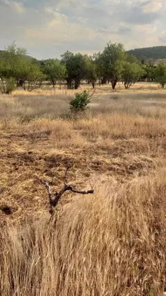 Isparta Merkez Büyükgökçeli, Okul Mahallesi 435 m² satılık tarla arsa - Fotoğraf 2