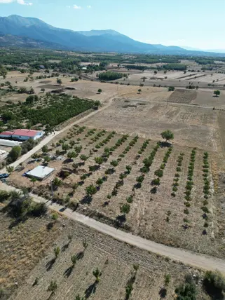 Denizli Tavas Bahçeköy Mahallesi 2.185 m² satılık konut arsa - Fotoğraf 2