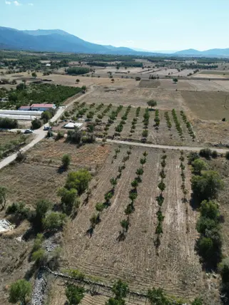 Denizli Tavas Bahçeköy Mahallesi 2.185 m² satılık konut arsa - Fotoğraf 2