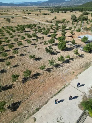Denizli Tavas Bahçeköy Mahallesi 2.185 m² satılık konut arsa - Fotoğraf 3