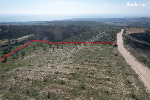 Tekirdağ Şarköy Tepeköy Mahallesi 4.412 m² satılık bağ & Bahçe arsa - Fotoğraf 3
