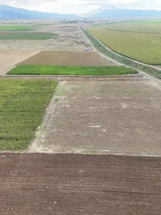 Denizli Acıpayam Akalan Mahallesi 3.211 m² satılık tarla arsa - Fotoğraf 2