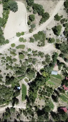 Denizli Acıpayam Aliveren Mahallesi 3.939 m² satılık tarla arsa - Fotoğraf 3