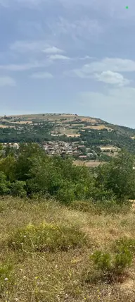 Sakarya Geyve Karacaören Mahallesi 3.417 m² satılık tarla arsa - Fotoğraf 2